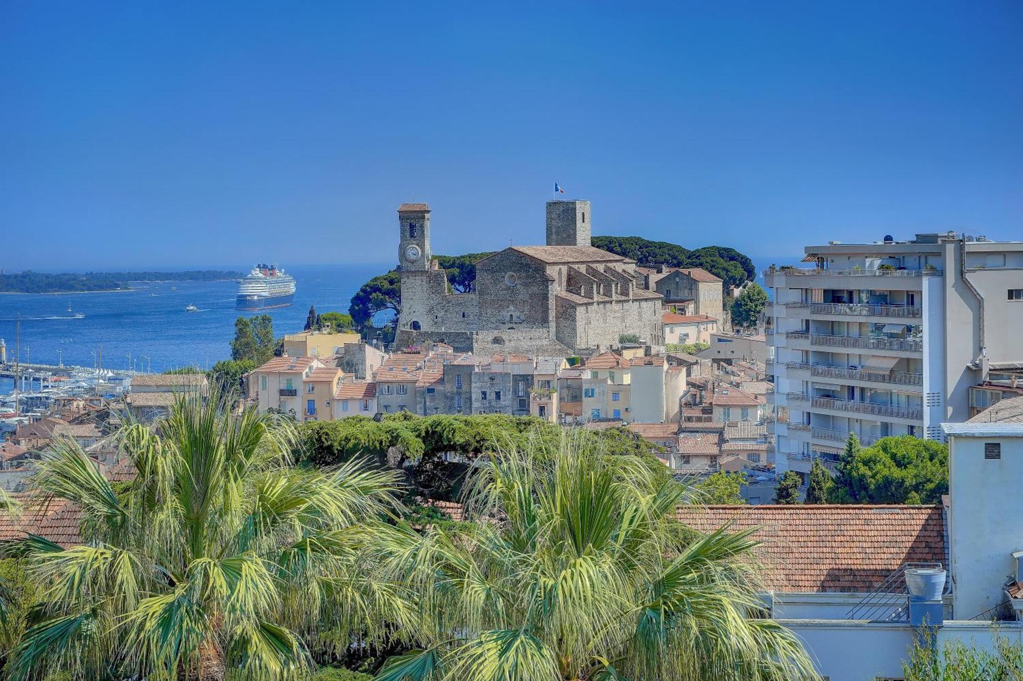 Stanislas Any Comfort Cannes